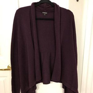 Express cardigan sweater